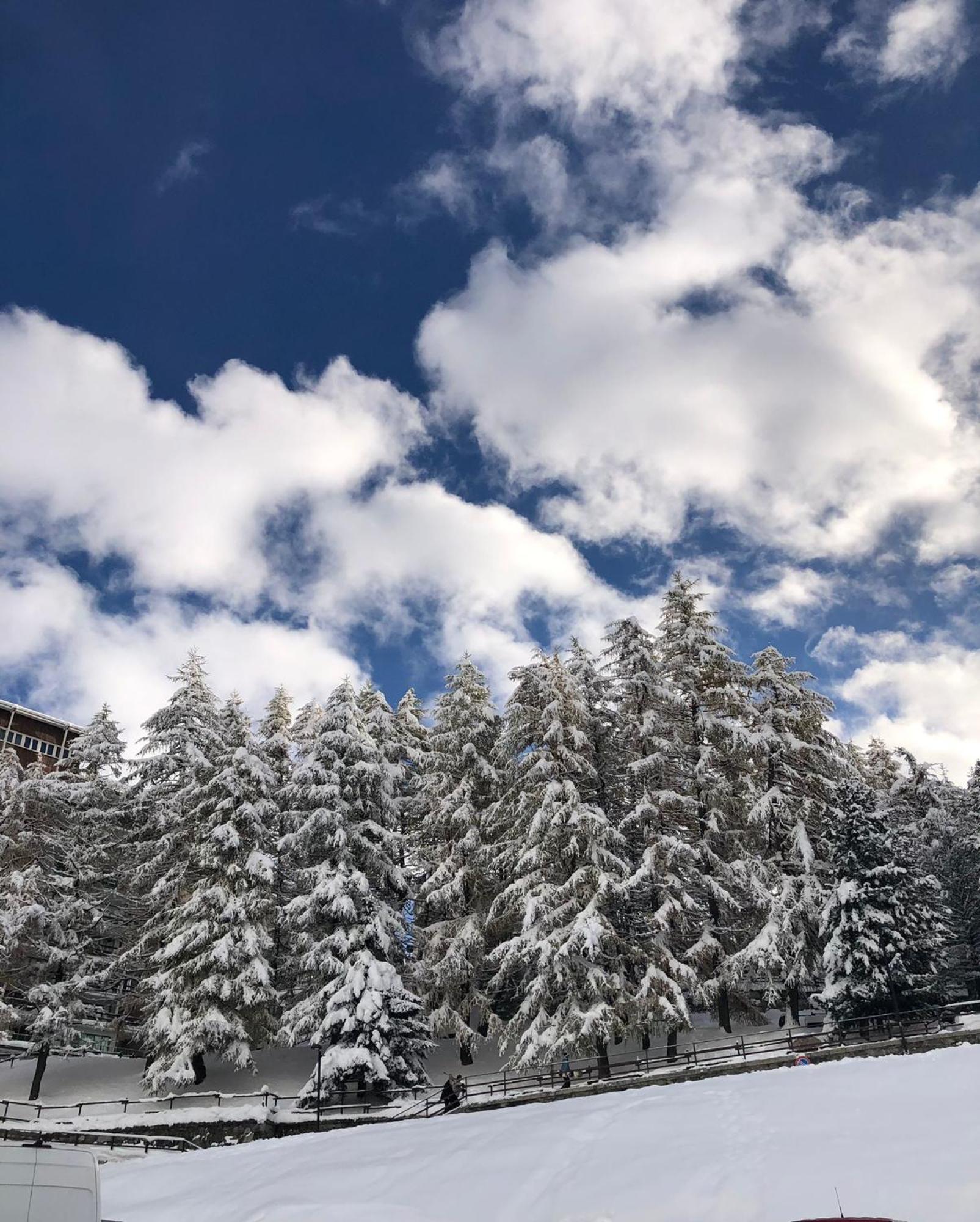 Cervinia - Matterhorn Apartments Breuil-Cervinia Dış mekan fotoğraf