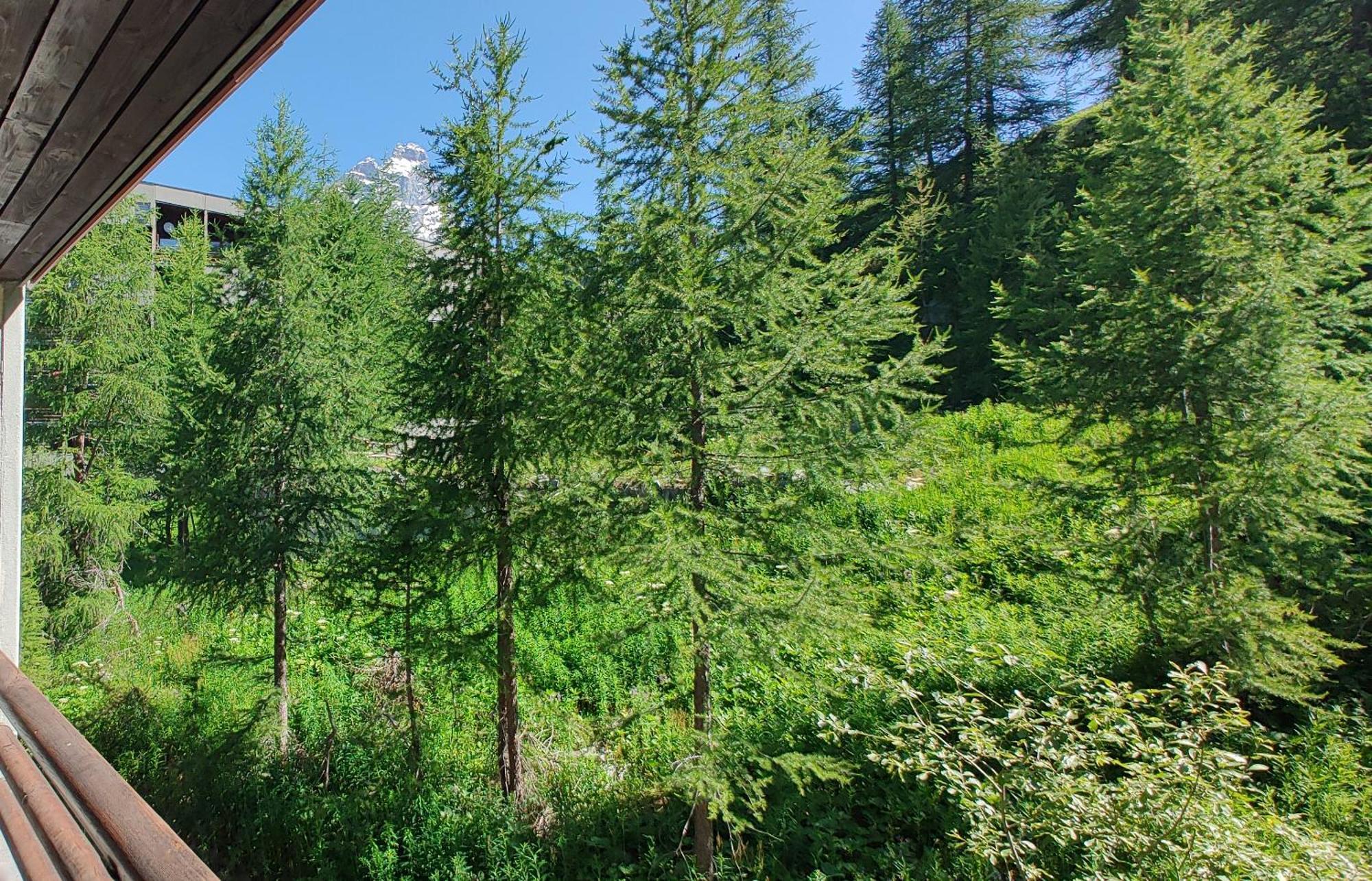 Cervinia - Matterhorn Apartments Breuil-Cervinia Dış mekan fotoğraf